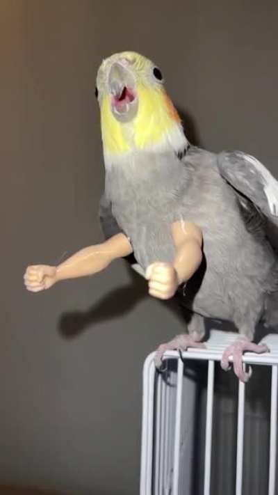 I upgraded Archie