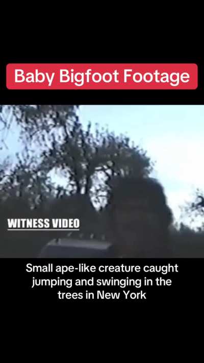This baby bigfoot encounter was accidentally caught on film by Doug Pridgen while camping with his friends near the Catskill Mountains in Upstate New York on May 23rd 1997.