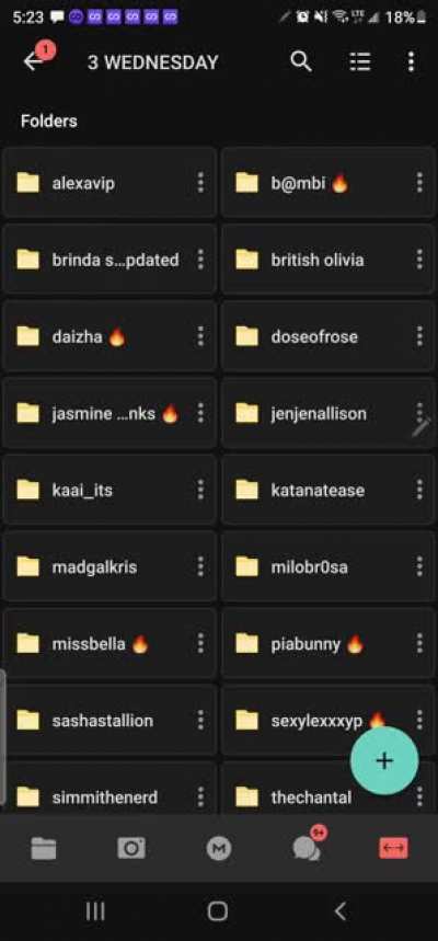 this wat the main folder look like daily updates Monday thru Friday I can't fake this shit I show yall everything from me buyin this shit to showing yall the folders everything