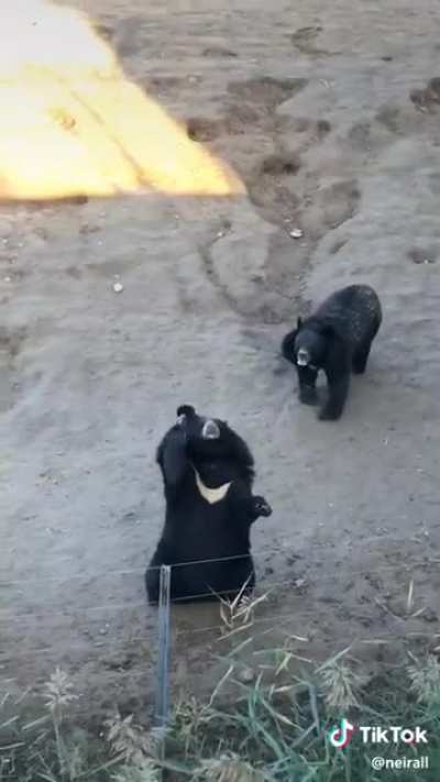 Come Here!