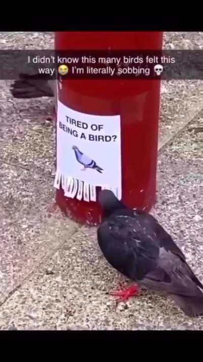 ULTIMATE PROOF