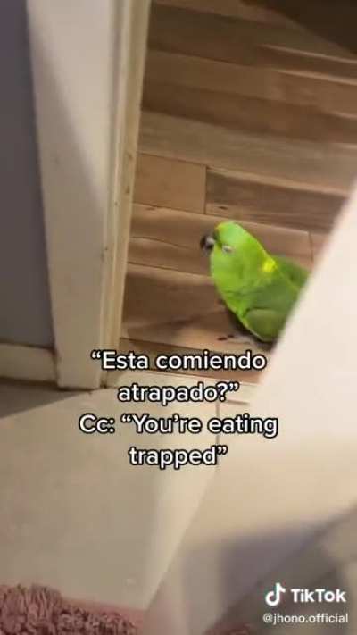 Speaks better than me