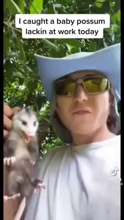 He&rsquo;s alive but he&rsquo;s dead