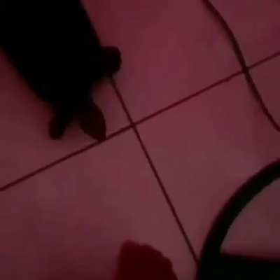 Essa &eacute; antiguinha
