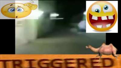 😱😱😱😱😱😆😆😆😂😂😂😂😱😱😆