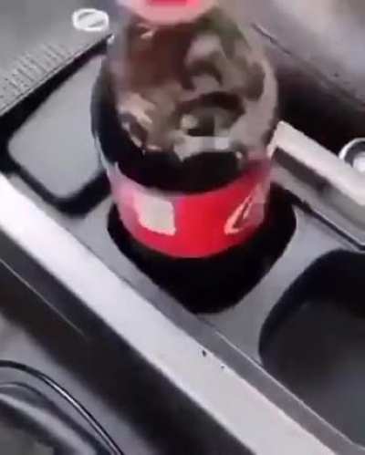 Nissan knows how to design a cupholder 💯