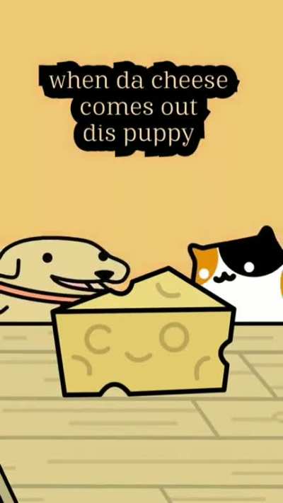 furry🧀irl