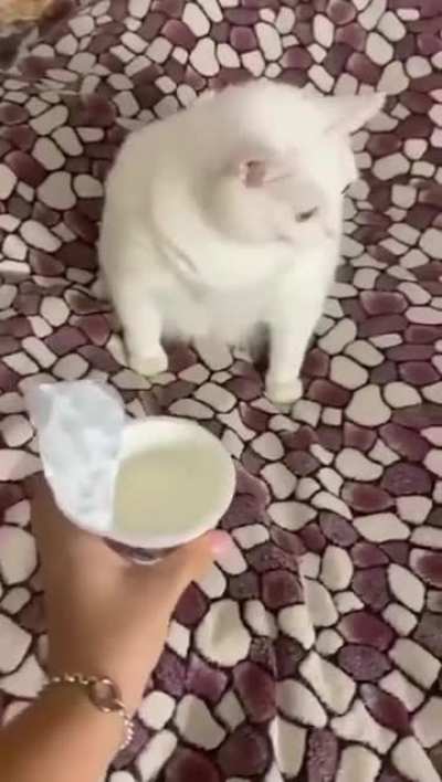 Not impressed ??