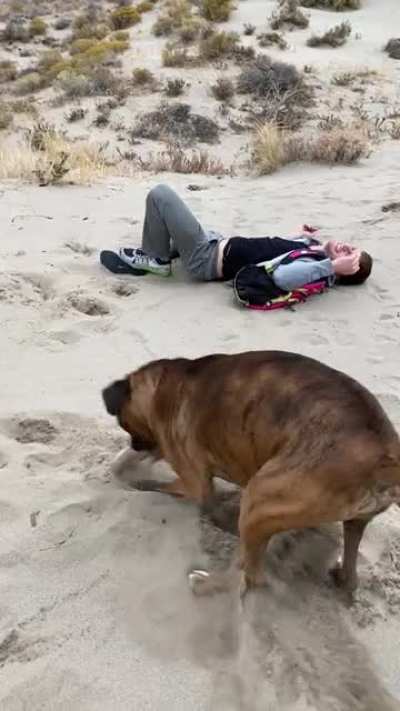 I attempted to get my dog excited so he'd run with me.