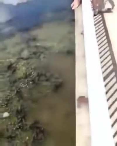 E sem paraquedas.
