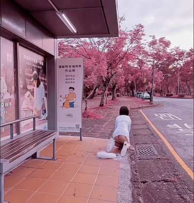 If you see me in public, please treat me like this...