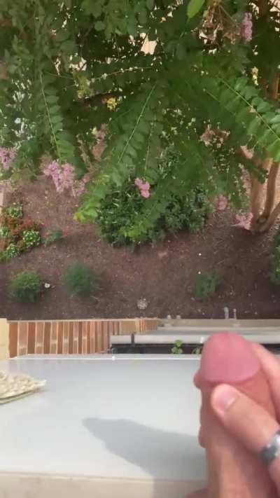 Beaubigone
