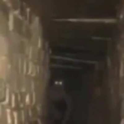 Cursed_poptart