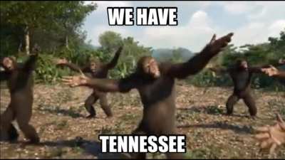 The only public Random Chimp Event bunker in the United States is located in Tennessee, just intercepted this message from the the Eastern Atlantic Chimp Forces. We&rsquo;re truly fucked.