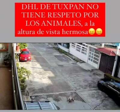 En Tuxpan, Veracruz. Porfavor haganlos pagar, no se que m&Atilde;&iexcl;s hacer.