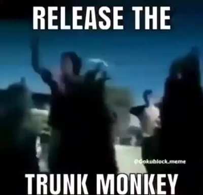 Trunk monke