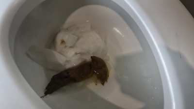 (F) HOT NEW SCAT VID JUST DROPPED! Titled: "Will Classy n Gassy cause a clog?" here is a free sample clip from our latest and greatest doubles pooping video! what do you think? will we need a plunger for our double decker poop??
