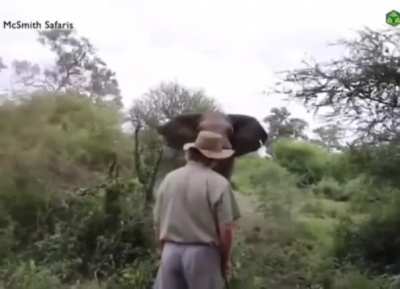 тут нужны стальные яйца