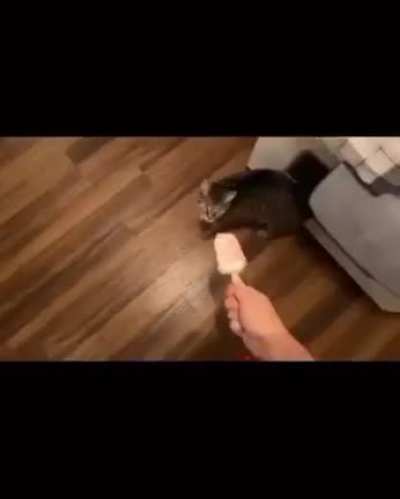 dont be a repost