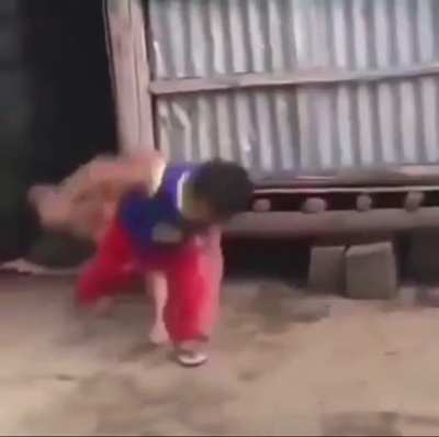 to kick the dog