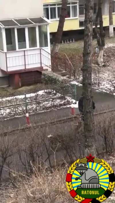 O zi obisnuita in Braila