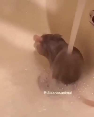 ATENCION SE FILTRA VIDEO DE RUBIUS BA&Ntilde;ANDOSE