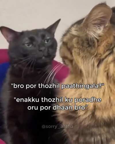 hows por thozhil?