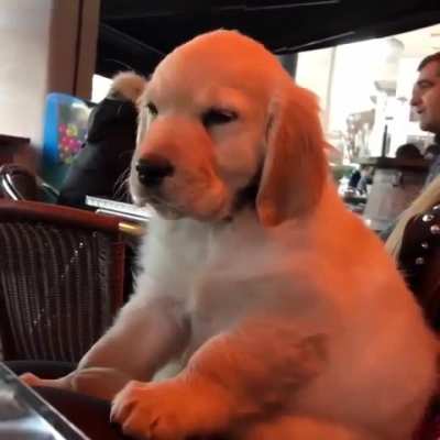 MRW my stomach's full of turkey and my Aunt's giving me detailed update stories on all my cousins.