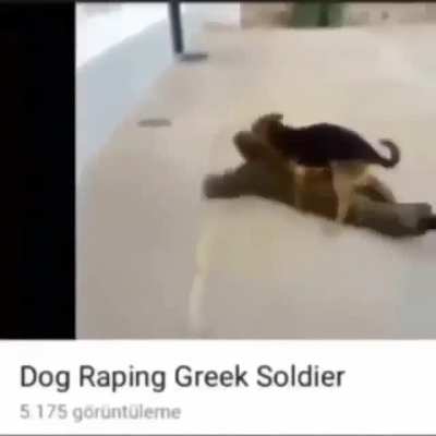 Average Greek military training