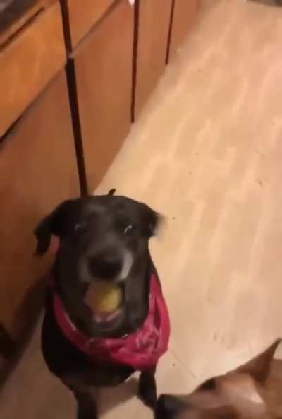 Maybe Maybe Maybe