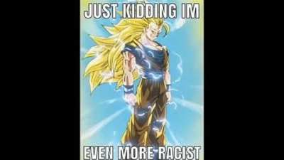 racism < dragon ball