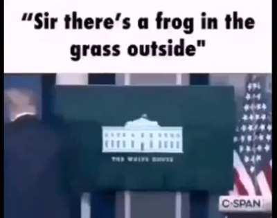 Ye 🥑