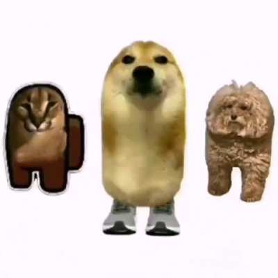 SUS (espero salga en el mclmi)