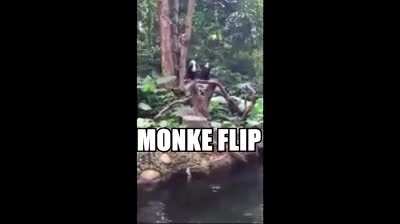 Monke flip 🐒