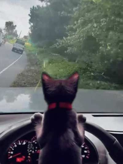 hmmm