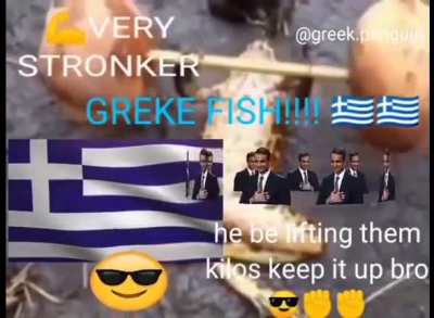Dam makdonalia frog very cringe