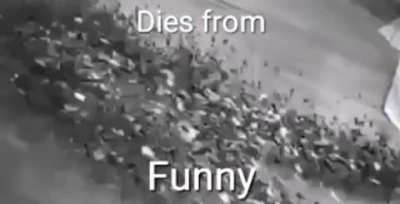 Haha. Ha.