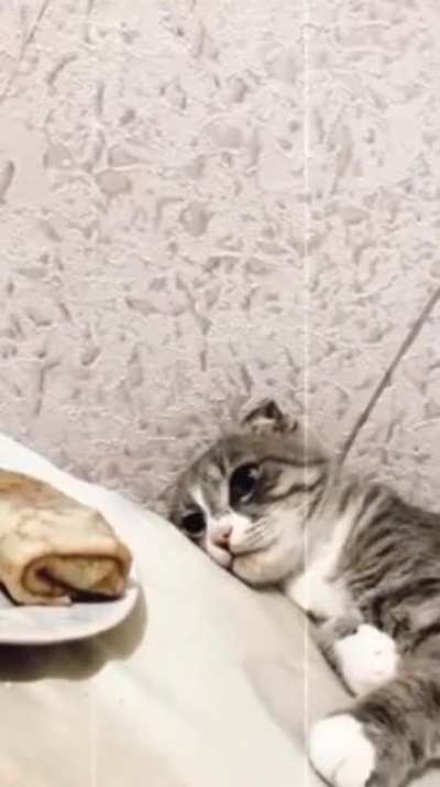 Когда худеешь и не знаешь, можешь ли позволить себе блинчик