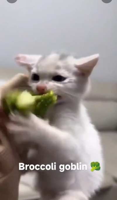 Broccoli goblin