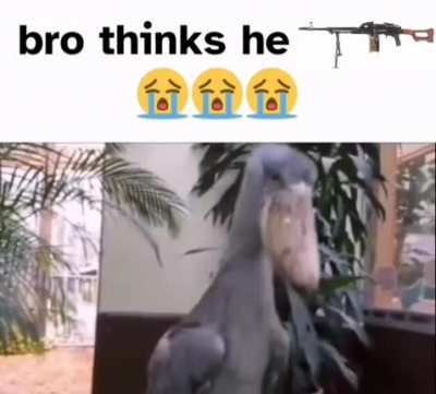 real