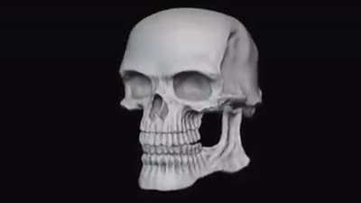 when a skeleton sees a human