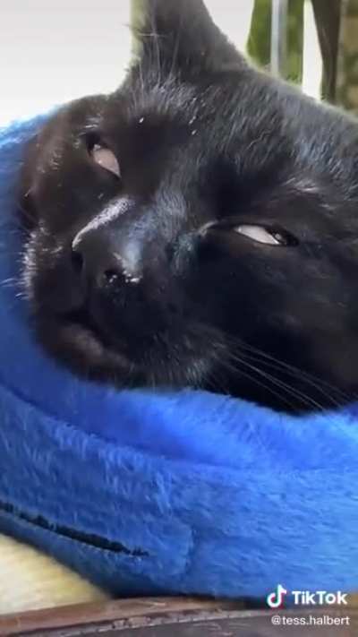We can&rsquo;t come to the phone right now, please leave a message