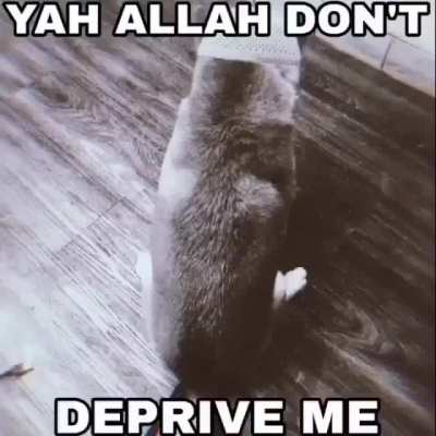 Me when allah 🙏🕋