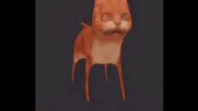 blursed cat