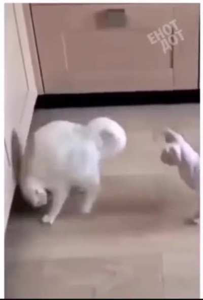 Don’t know where to start with this one, sound on though