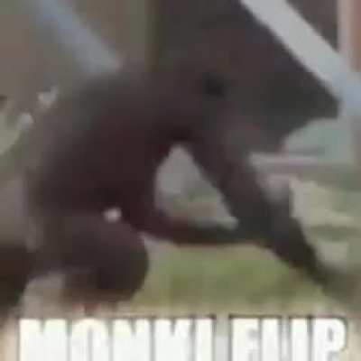 O t&iacute;tulo foi fazer um Flip