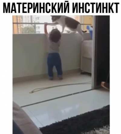 Спасение рядового мальчика