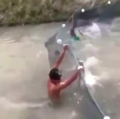 peixe