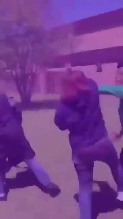 Igualdade de g&ecirc;nero vadia