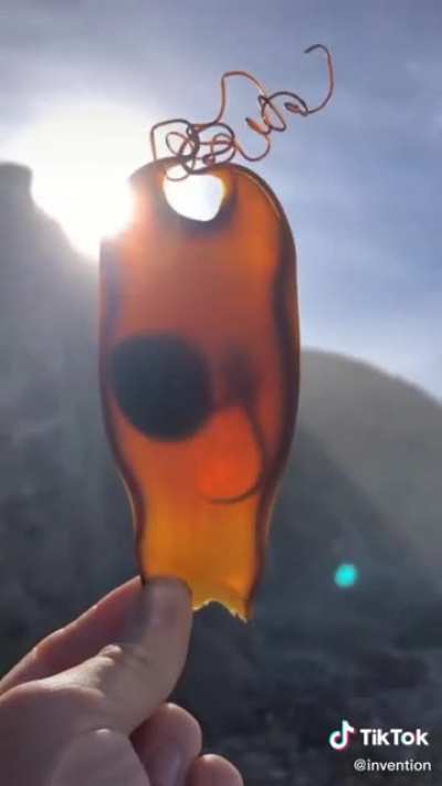 "Shark egg case that was found ashore with a live embryo still inside" I hope they left him in the ocean! 🦈